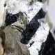 Turmalina de matriz de quartzo de rocha - 500 a 750grs.