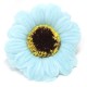 50 flores de girassol artesanato deco médio - azul bebê