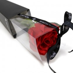 6 Rosa simple - rosa