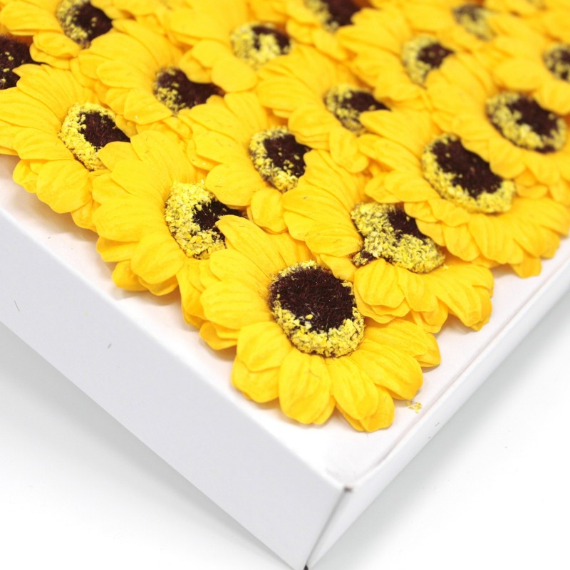 Cmo Plantar Y Cuidar Un Girasol Blog Regalar Flores