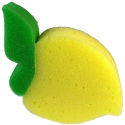 10 Esponjas de limão