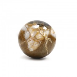 Piedras esfera - Madera Fosíl 230 a 320gr.