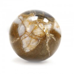 Piedras esfera - Madera Fosíl 350 a 420gr.