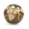 Pedras esfera - Fosil 350 a 420gr.