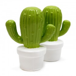 2 Huchas cactus