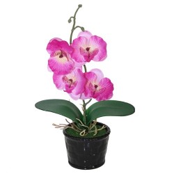 Orquídea mediana lila