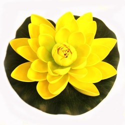 12 Flor Lotus flotante pequeña