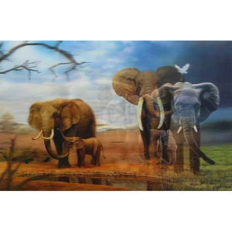10 Láminas 3D elefantes