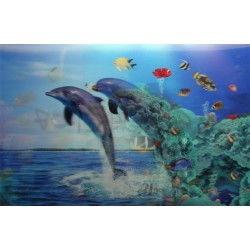 10 Láminas 3D delfines | peces