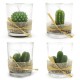 Caja 12 velas vaso - cactus variados